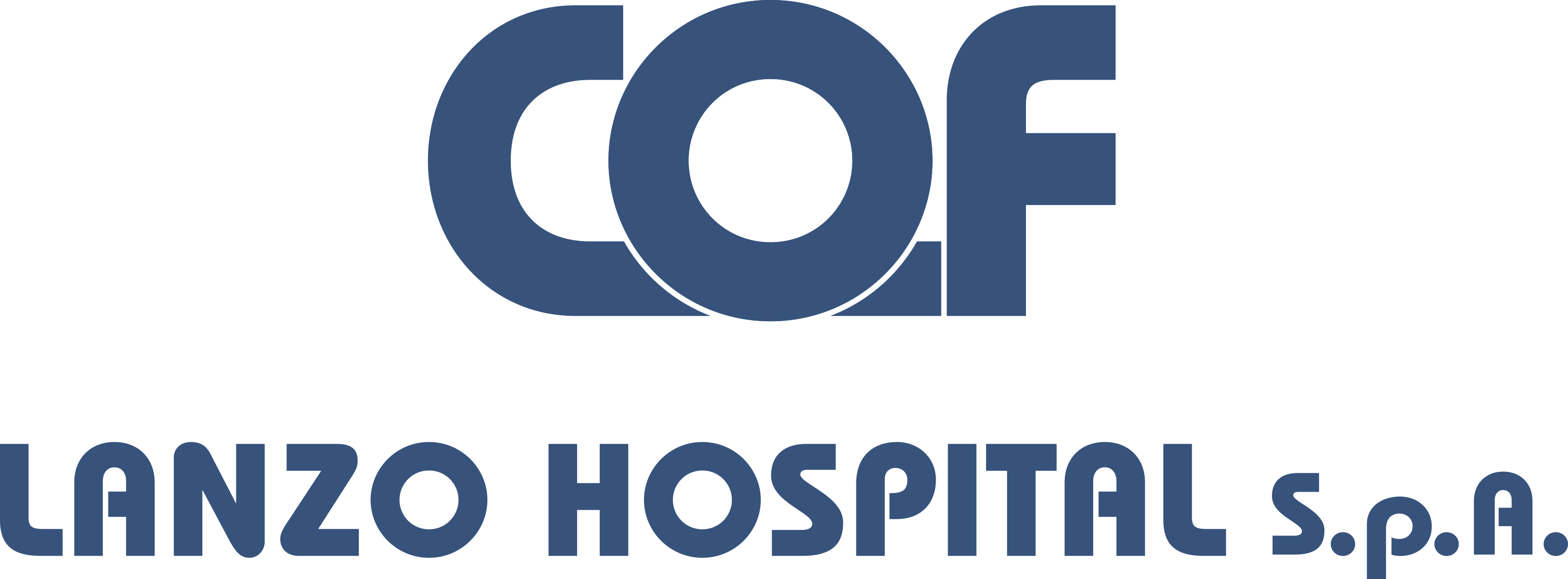 COF Lanzo Hospital S.p.A.