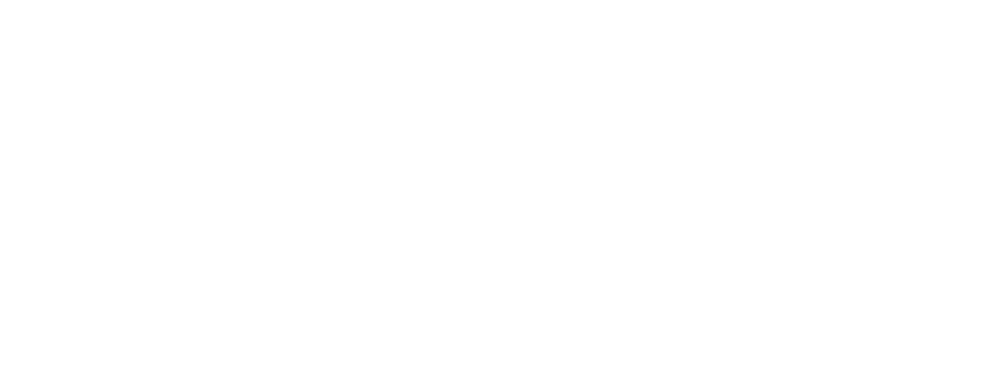COF Lanzo Hospital S.p.A.