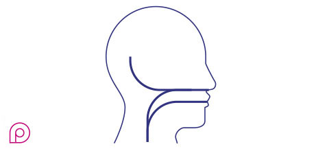 Otorinolaringoiatria 